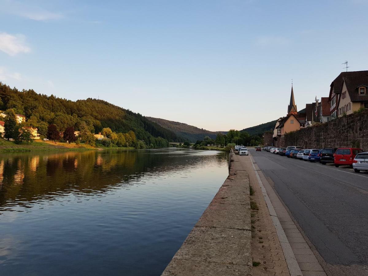 Zauberhafte In Der Naehe Von Heidelberg, Lage Hirschhorn