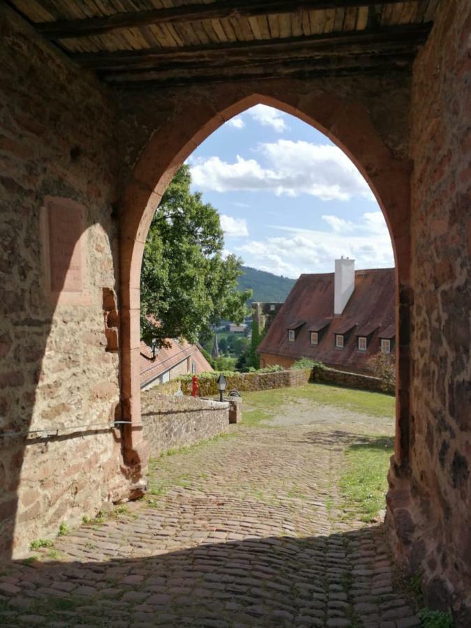 Apartment Zauberhafte In Der Naehe Von Heidelberg, Lage Hirschhorn